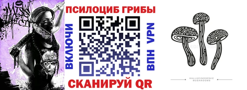 Купить где  Рубцовск  Галлюциногенные грибы Psilocybe 
